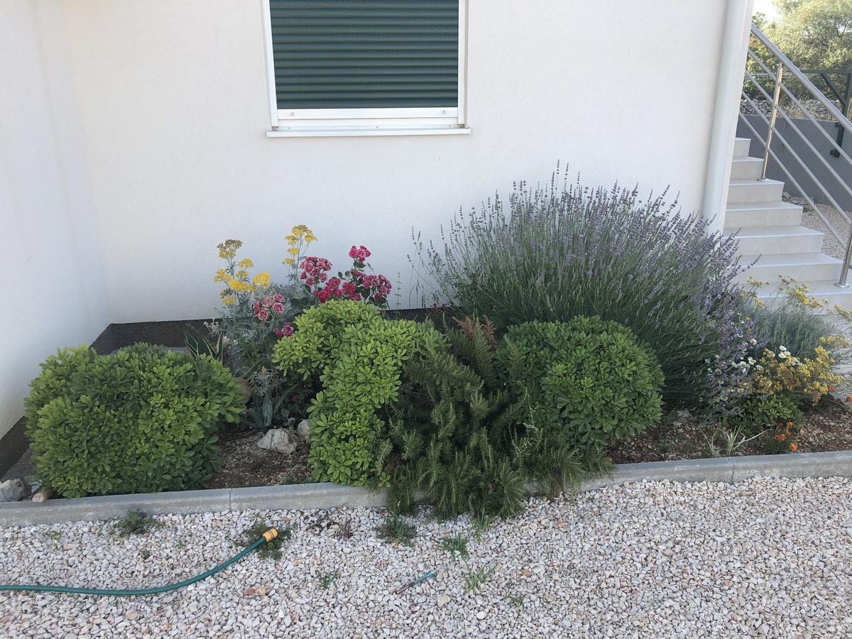 Apartments Sestanka Novalja Εξωτερικό φωτογραφία