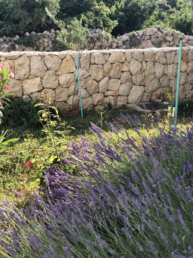 Apartments Sestanka Novalja Εξωτερικό φωτογραφία