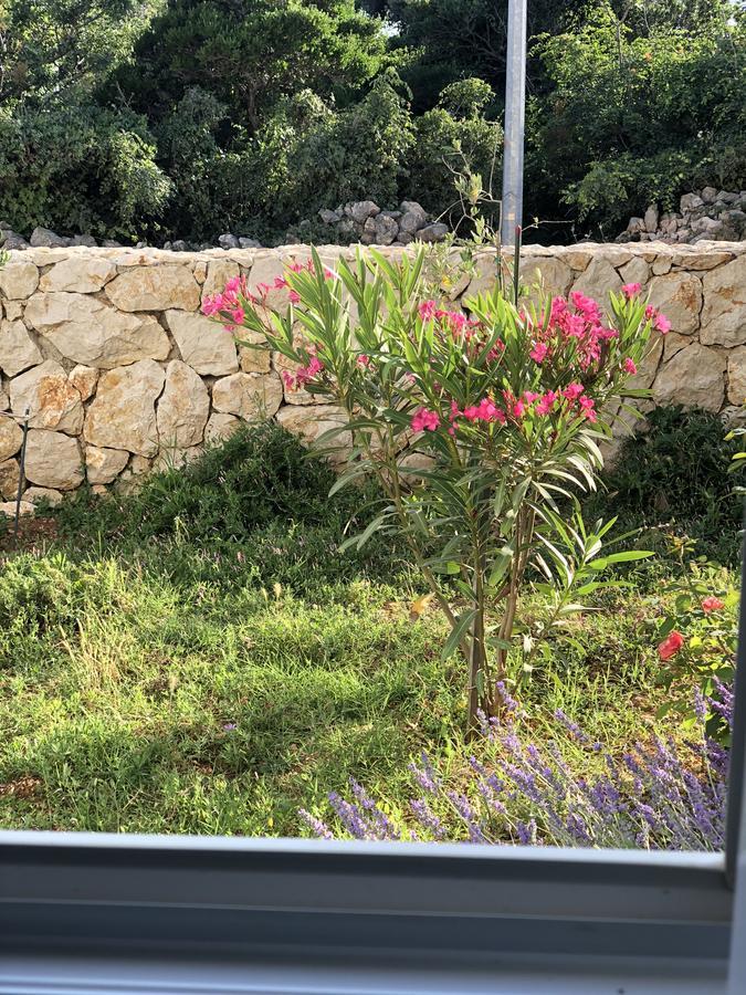 Apartments Sestanka Novalja Εξωτερικό φωτογραφία