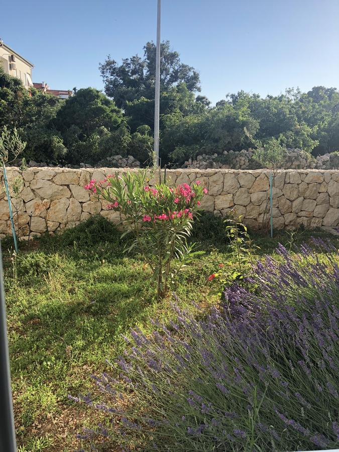Apartments Sestanka Novalja Εξωτερικό φωτογραφία